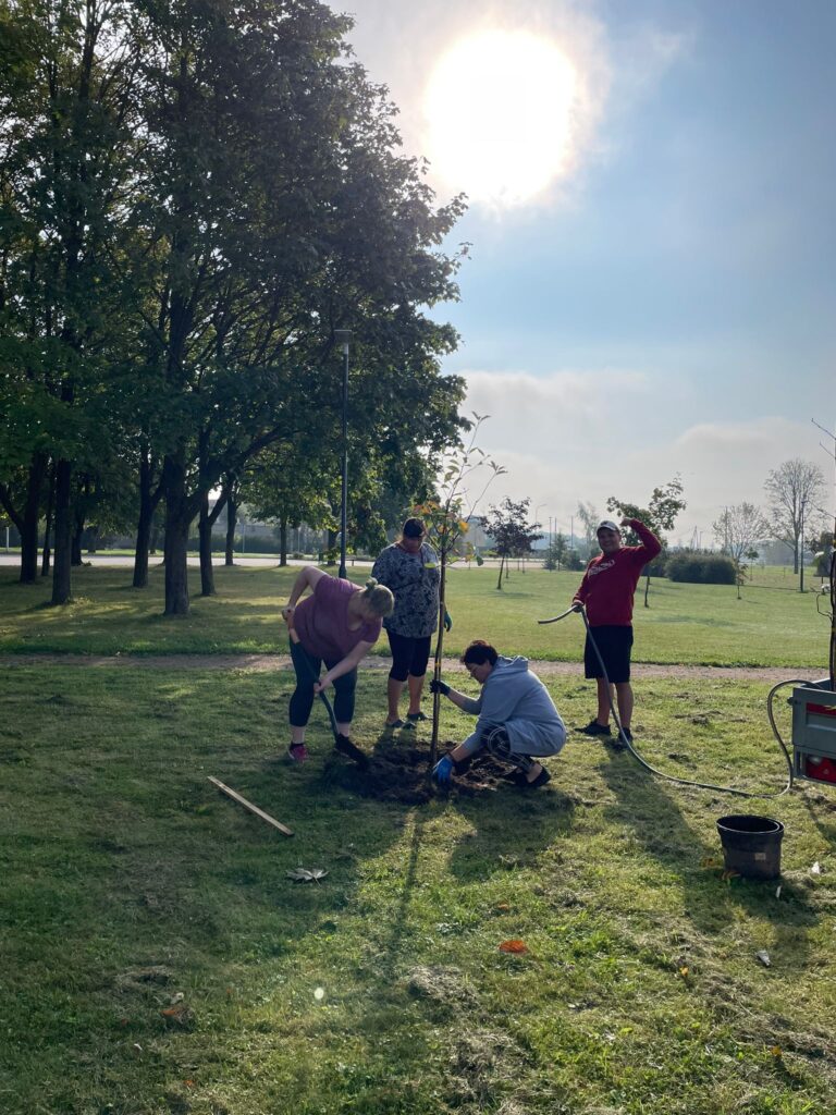 Stādīšanas darbi 12. septembrī norisinājās Rītausmu parkā, papildinot teritorijas zaļo rotu ar 50 jauniem kokaugiem.
Autors: Evita Novicka