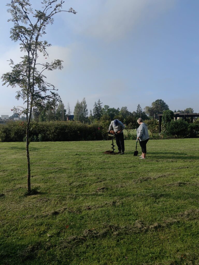 Stādīšanas darbi 12. septembrī norisinājās Rītausmu parkā, papildinot teritorijas zaļo rotu ar 50 jauniem kokaugiem.
Autors: Evita Novicka