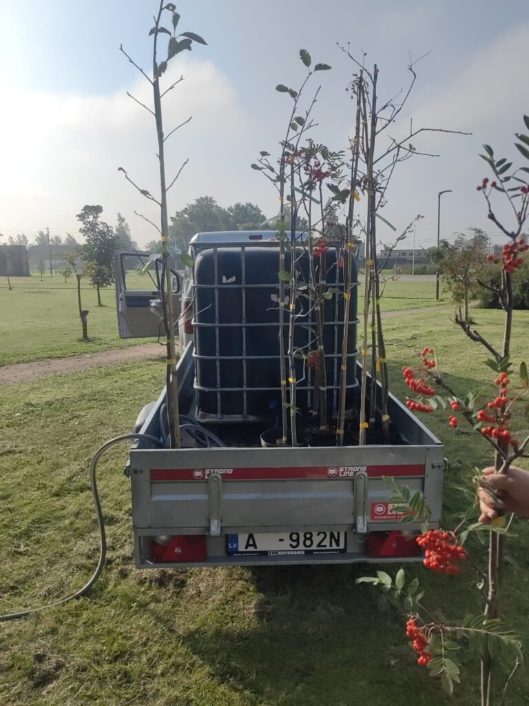 Autors: Evita Novicka