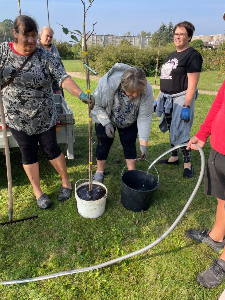 Stādīšanas darbi 12. septembrī norisinājās Rītausmu parkā, papildinot teritorijas zaļo rotu ar 50 jauniem kokaugiem.
Autors: Evita Novicka