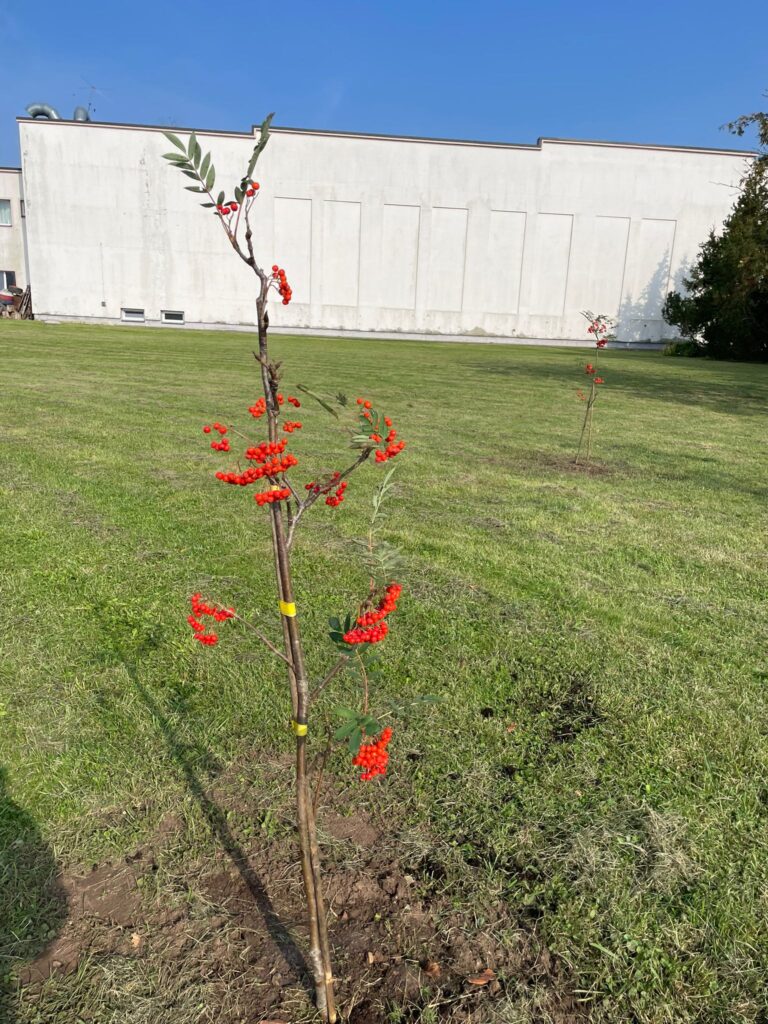 Autors: Evita Novicka