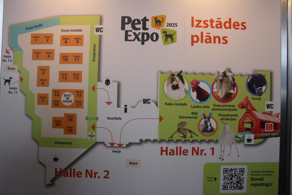 Autors: Ingrīda Punka