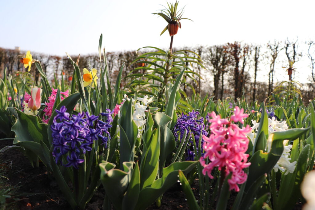 Autors: Publicitātes foto