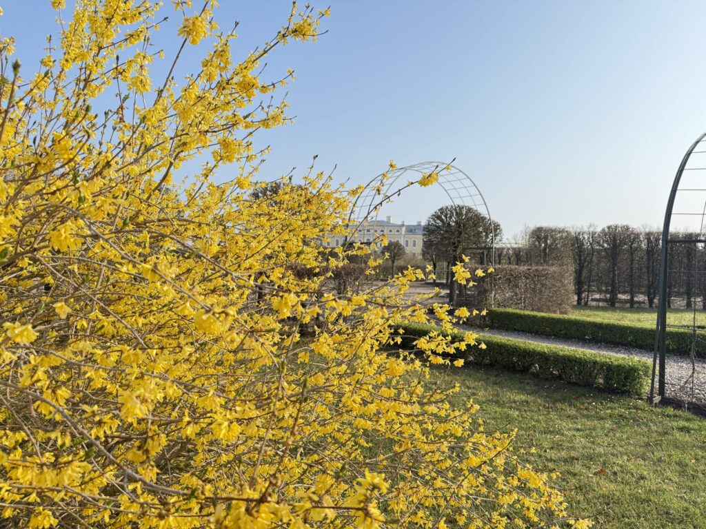 Autors: Publicitātes foto