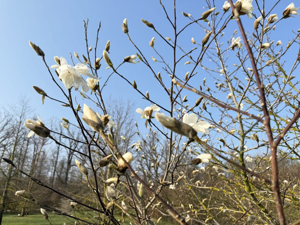 Autors: Publicitātes foto