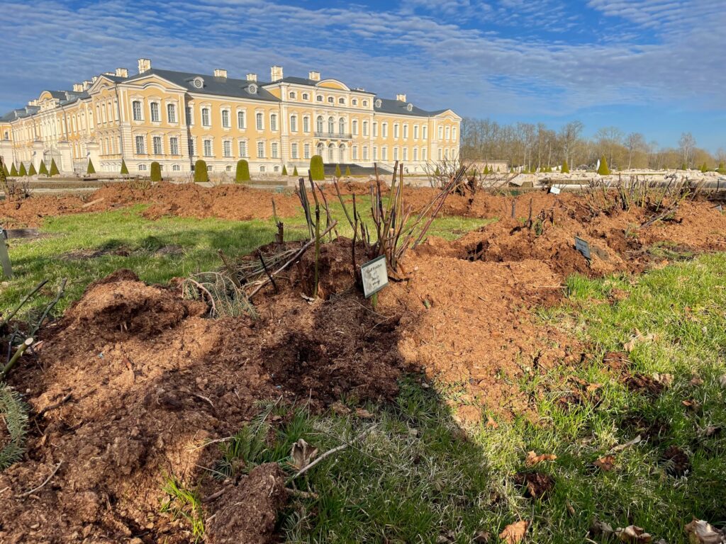 Autors: www.bauskasdzive.lv