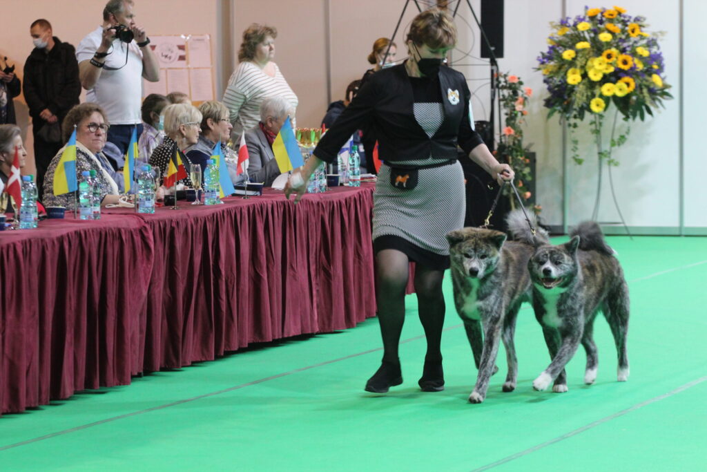 Autors: Visi foto – Ingrīda Punka