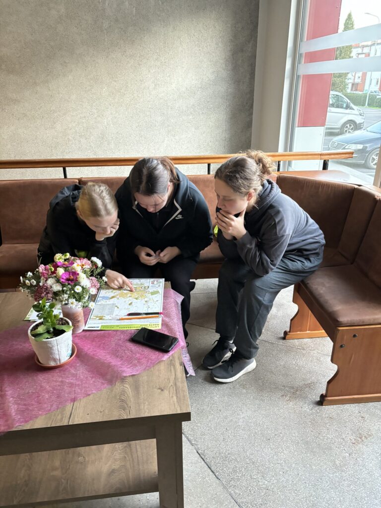 Autors: Laura un Sulevs Luiki