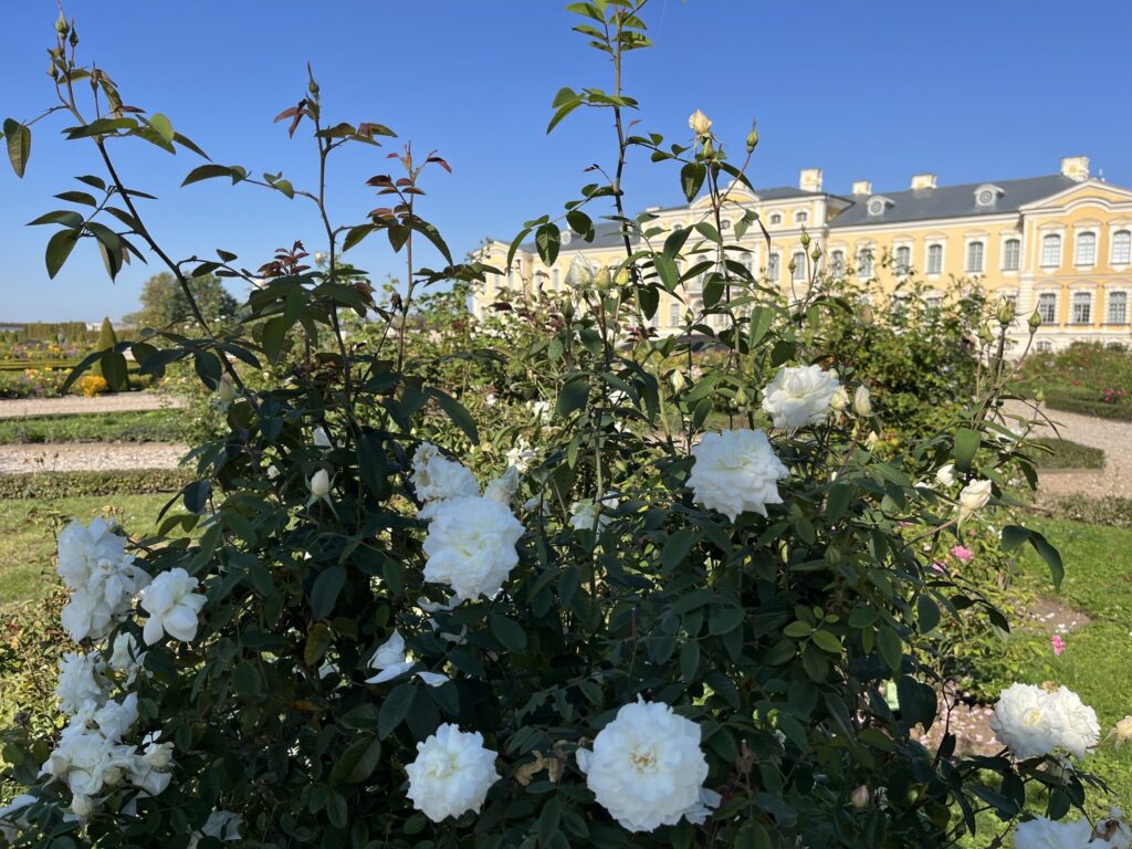 Autors: Rundāles pils muzejs/Publicitātes foto