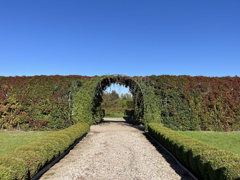 Autors: Rundāles pils muzejs/Publicitātes foto