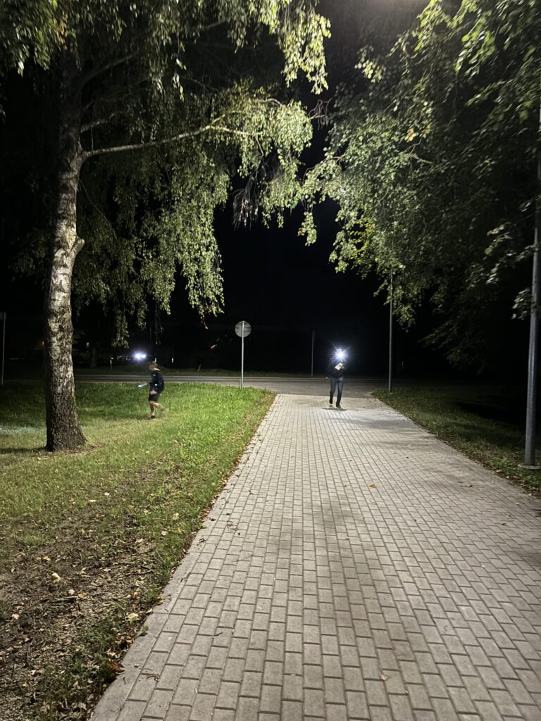 Autors: Laura un Sulevs Luiki