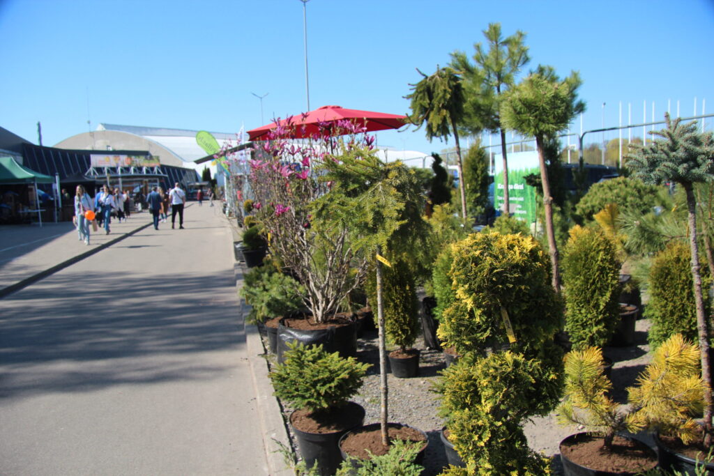 Autors: Ingrīda Punka