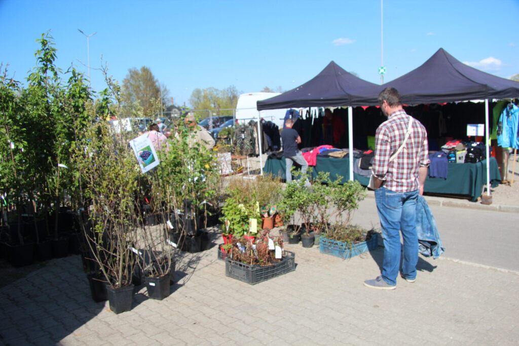 Autors: Ingrīda Punka