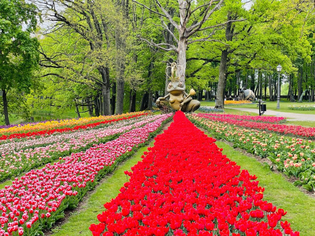 Košie ziedu paklāji pagājušā gada pavasara ziedu festivālā.
Autors: Publicitātes foto