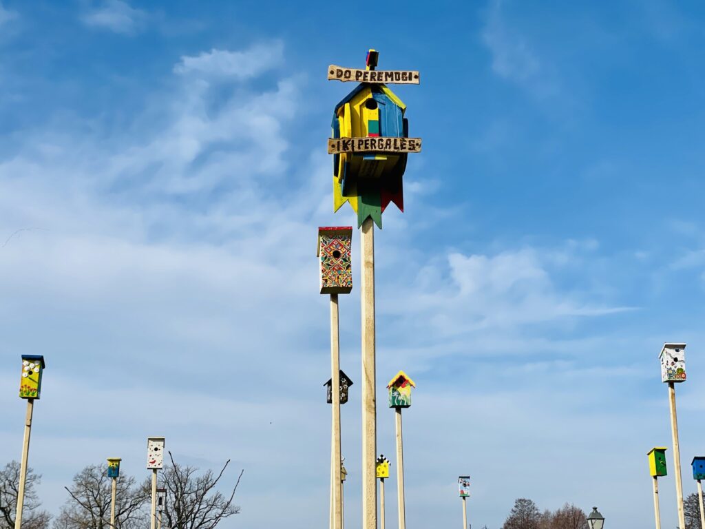 Autors: Publicitātes foto