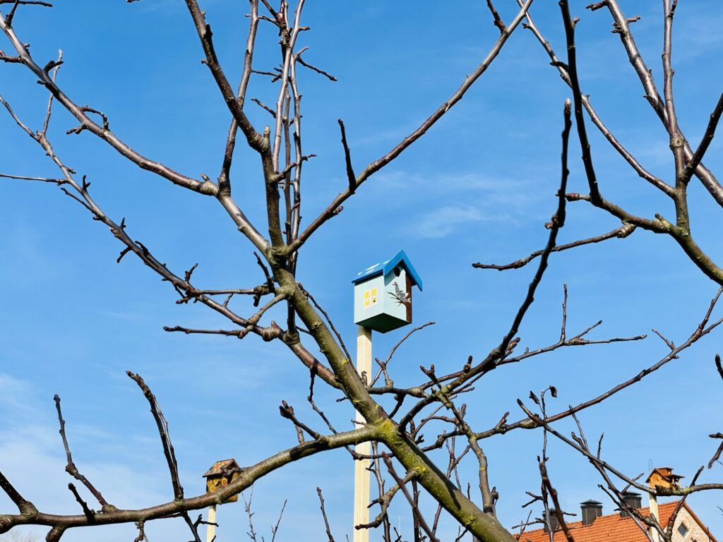 Autors: Publicitātes foto