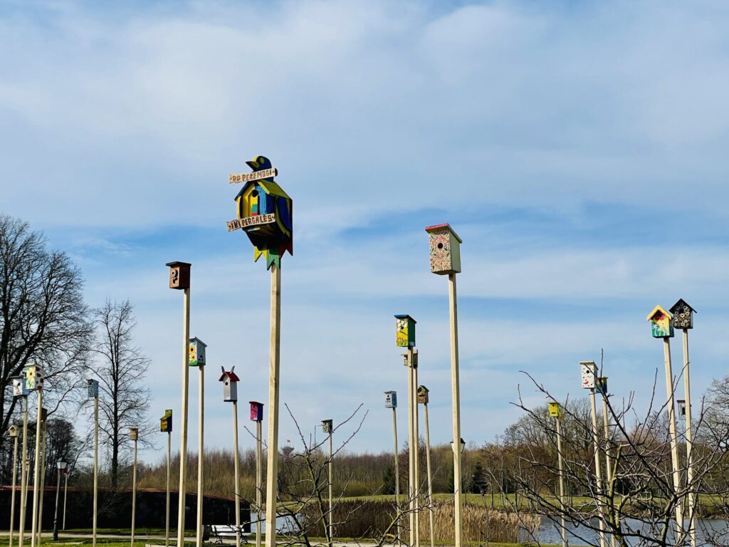 Autors: Publicitātes foto