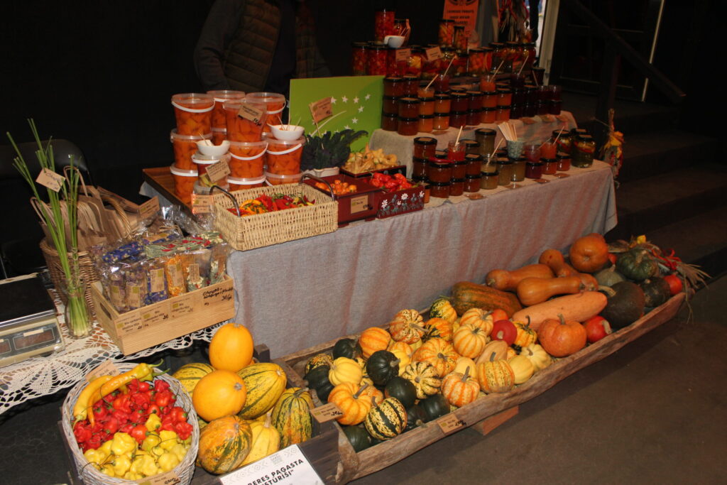 Autors: Ingrīda Punka