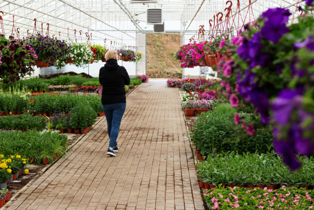 Autors: Publicitātes foto.