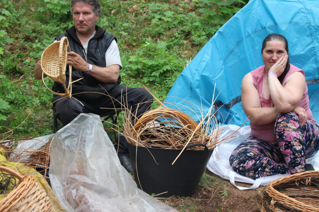 Autors: Ingrīda Punka