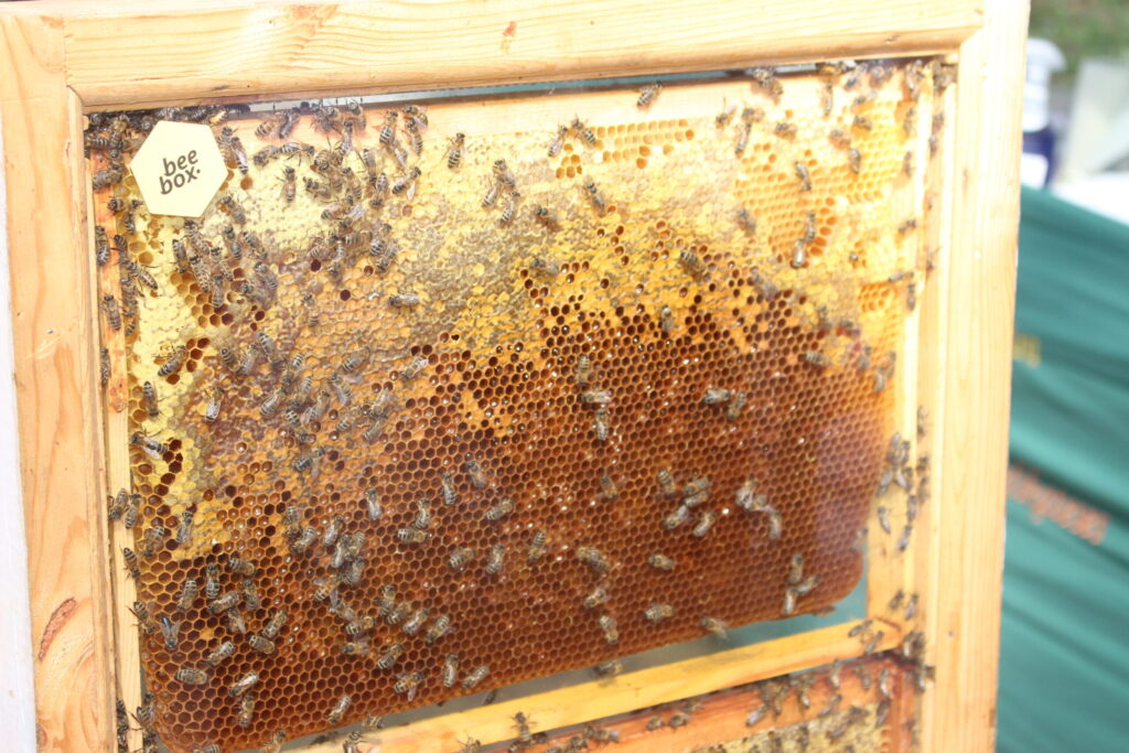 Autors: Ingrīda Punka