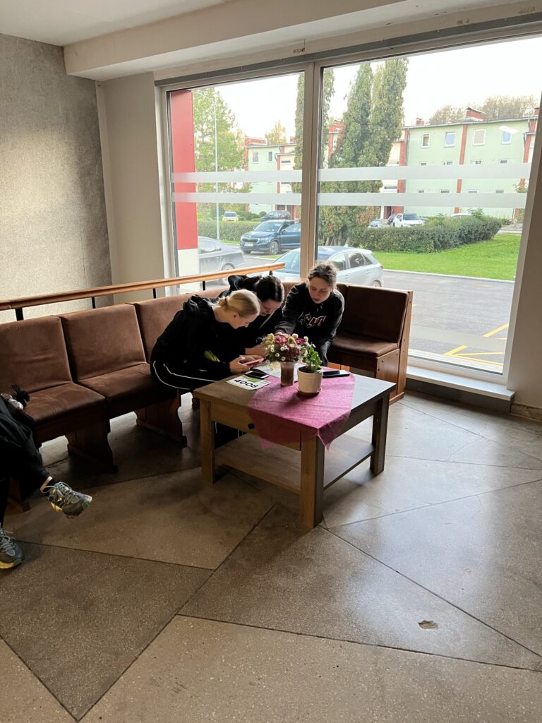 Autors: Laura un Sulevs Luiki