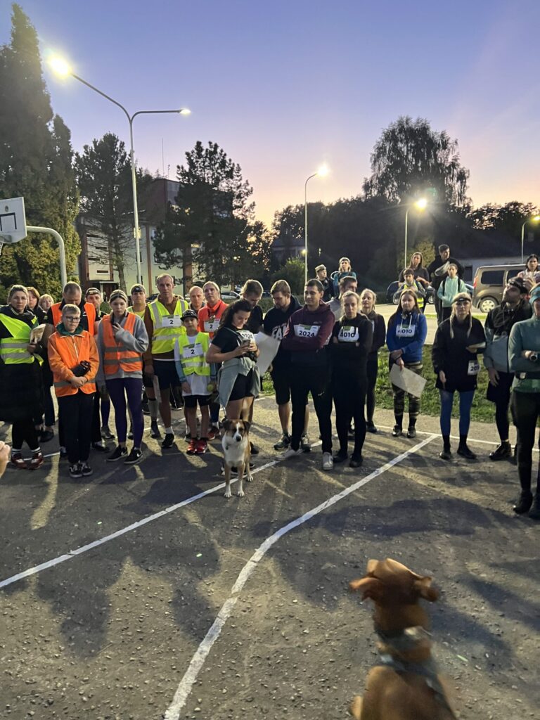 Autors: Laura un Sulevs Luiki