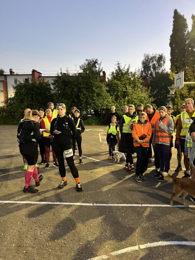 Autors: Laura un Sulevs Luiki