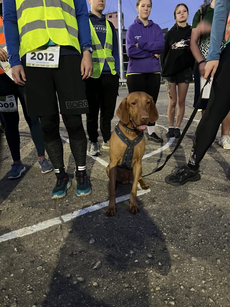 Autors: Laura un Sulevs Luiki