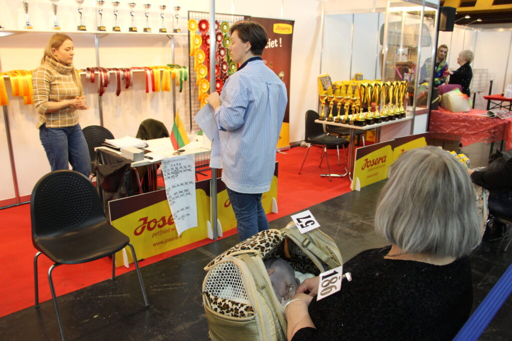 Autors: Ingrīda Punka