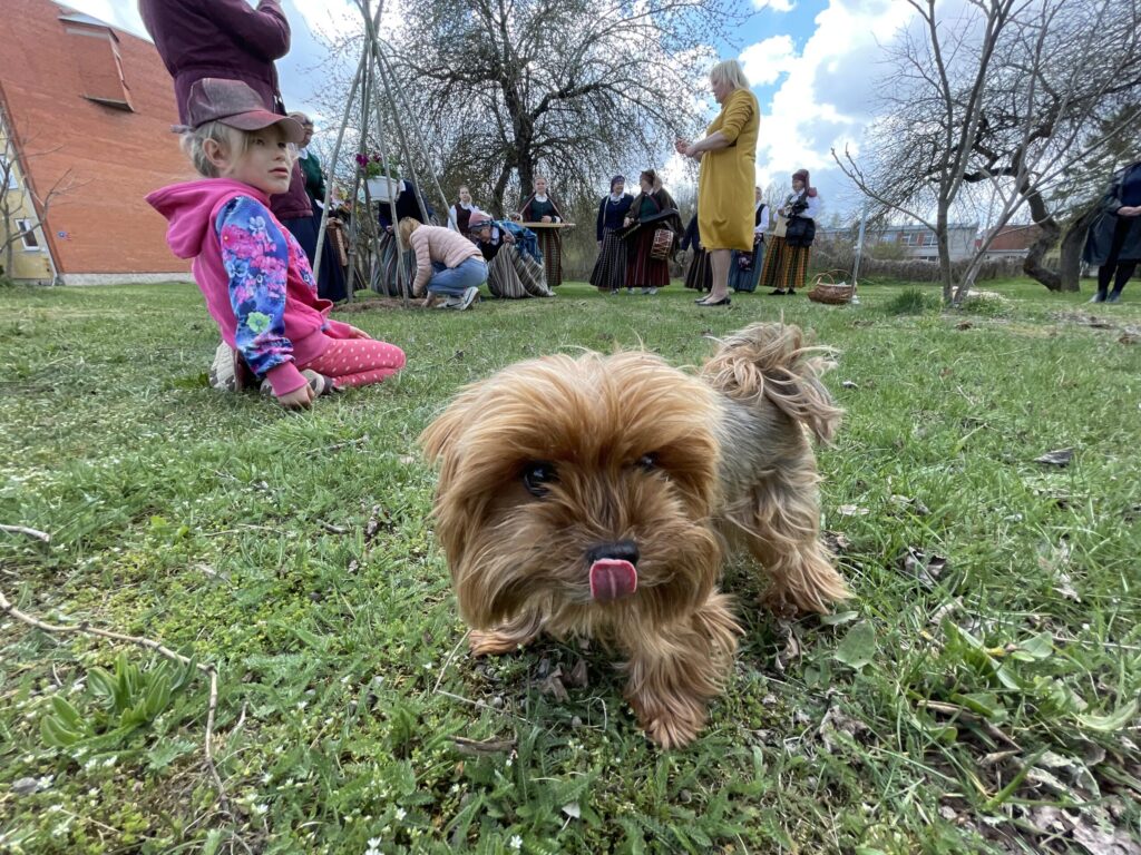 Autors: Alise Dreimane