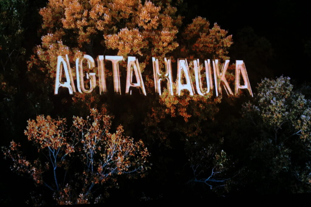 Autors: Ingrīda Punka