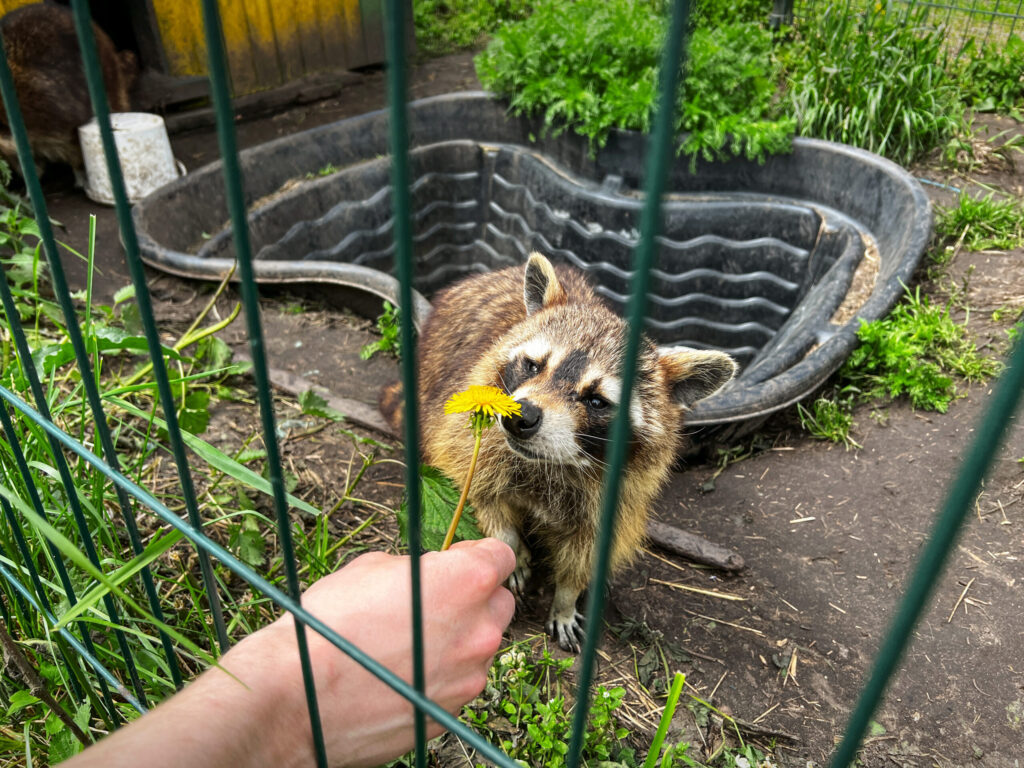 Autors: Publicitātes foto.