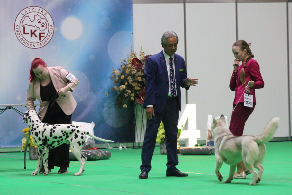 Autors: Ingrīda Punka