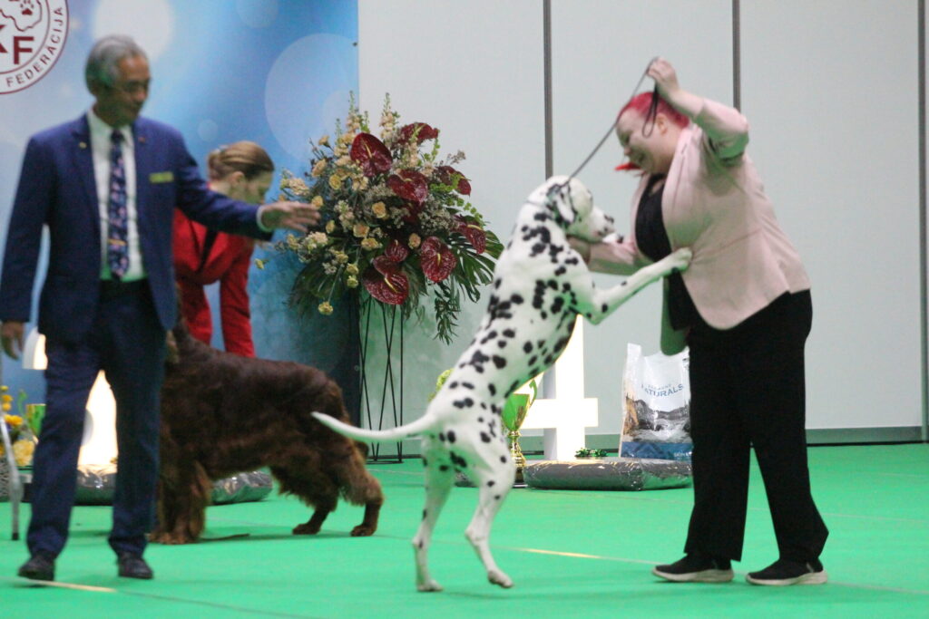 Autors: Ingrīda Punka