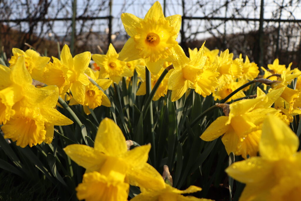 Autors: Publicitātes foto