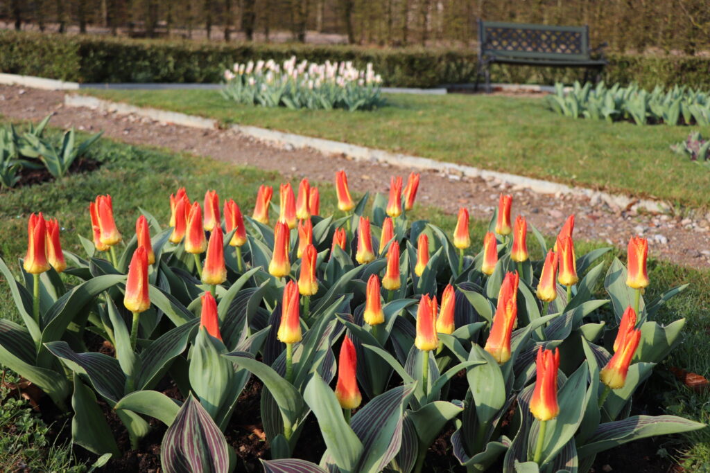 Autors: Publicitātes foto