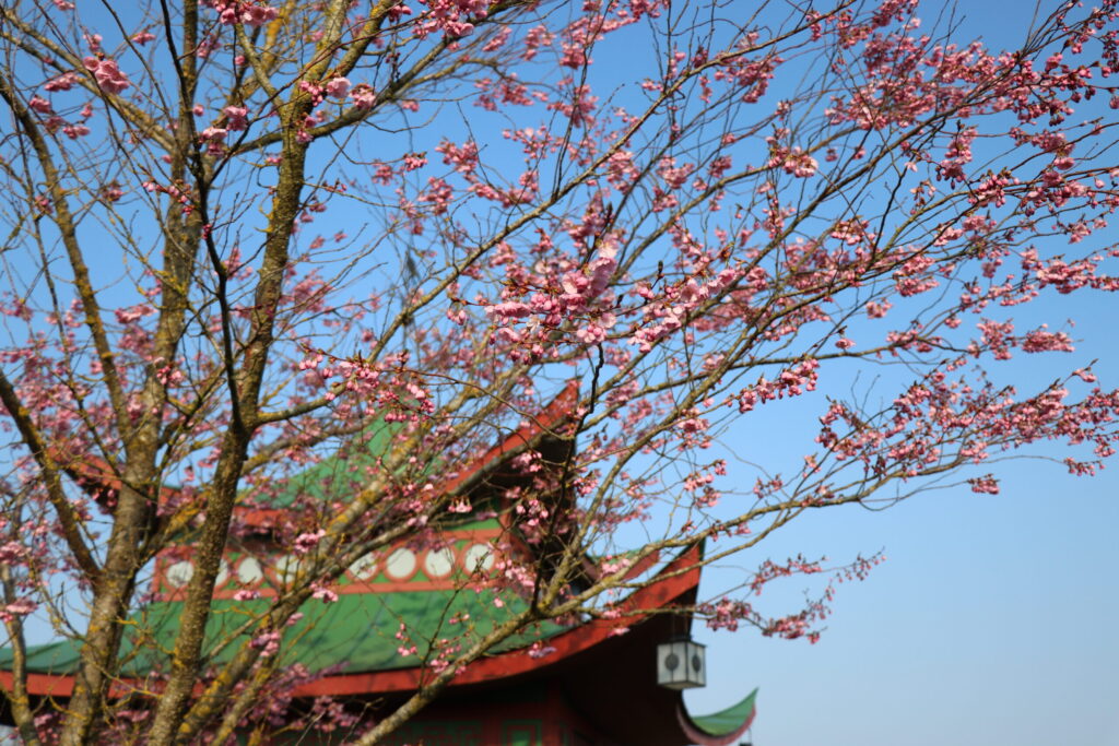 Autors: Publicitātes foto