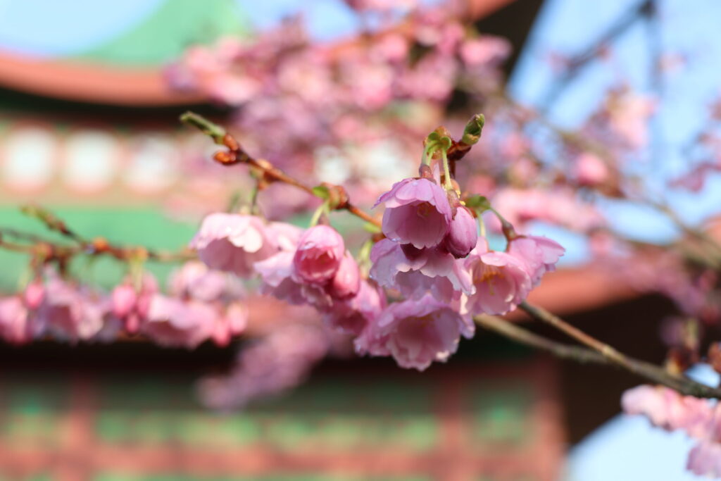 Autors: Publicitātes foto