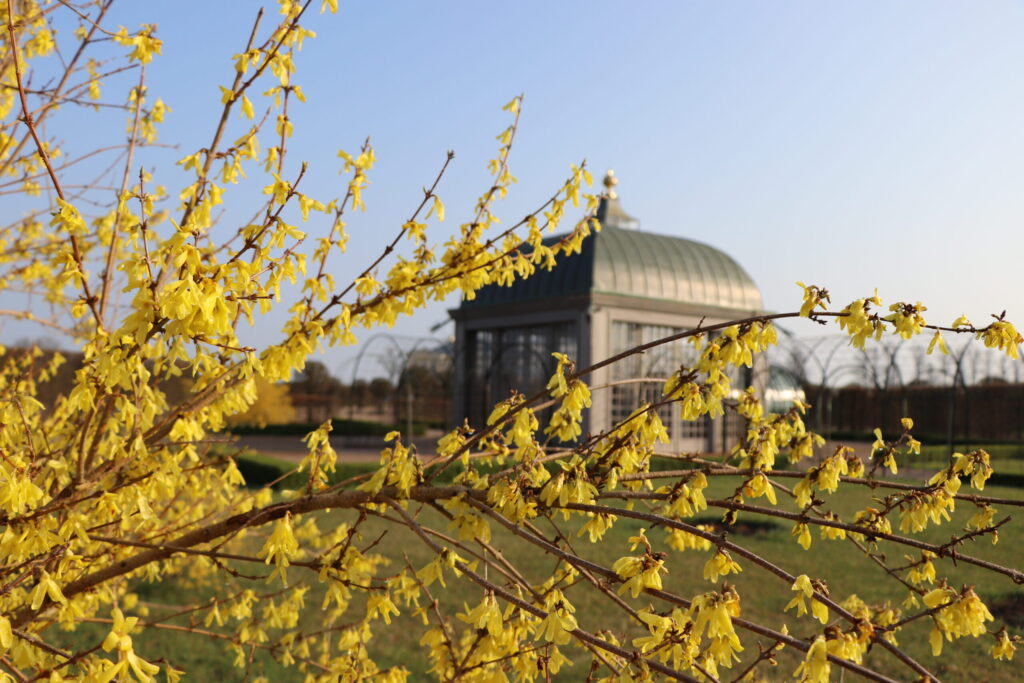 Autors: Publicitātes foto