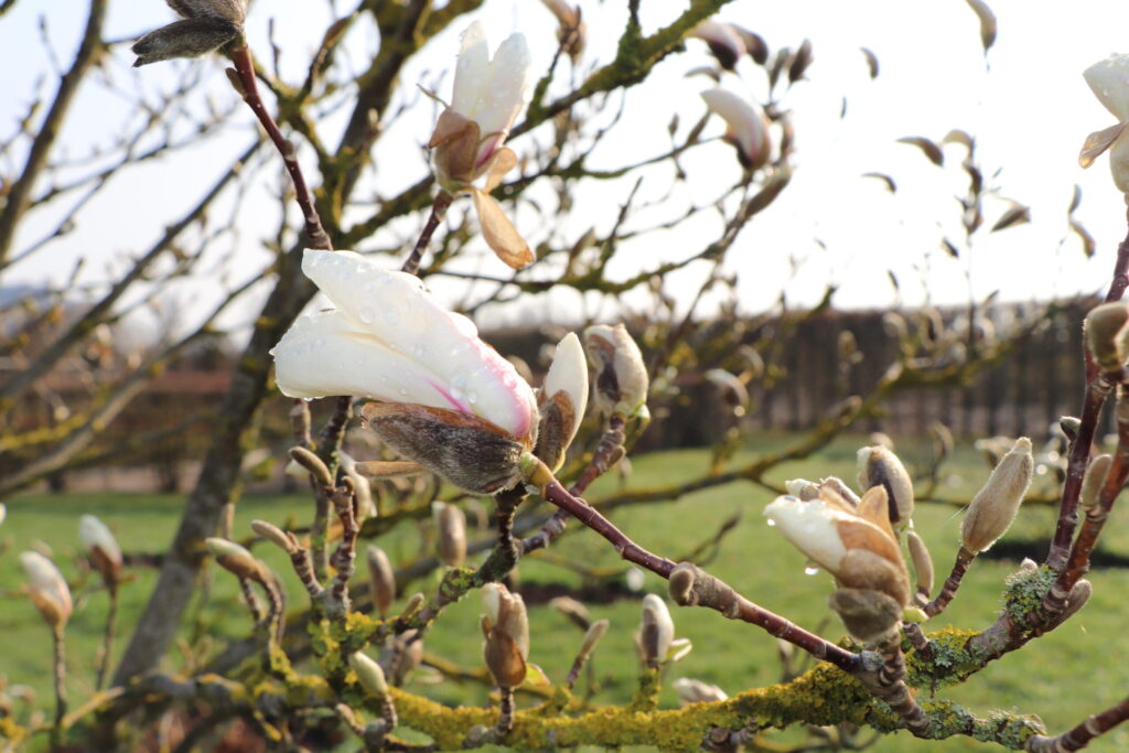 Autors: Publicitātes foto