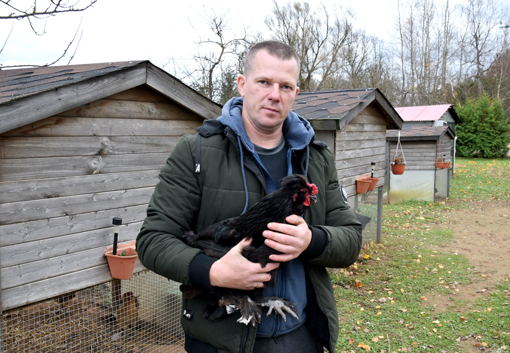 Jānis Spurķis ar savu lepnumu – paša selekcionēto Sibīrijas gaili.
Autors: Foto – Māris Krūmiņš