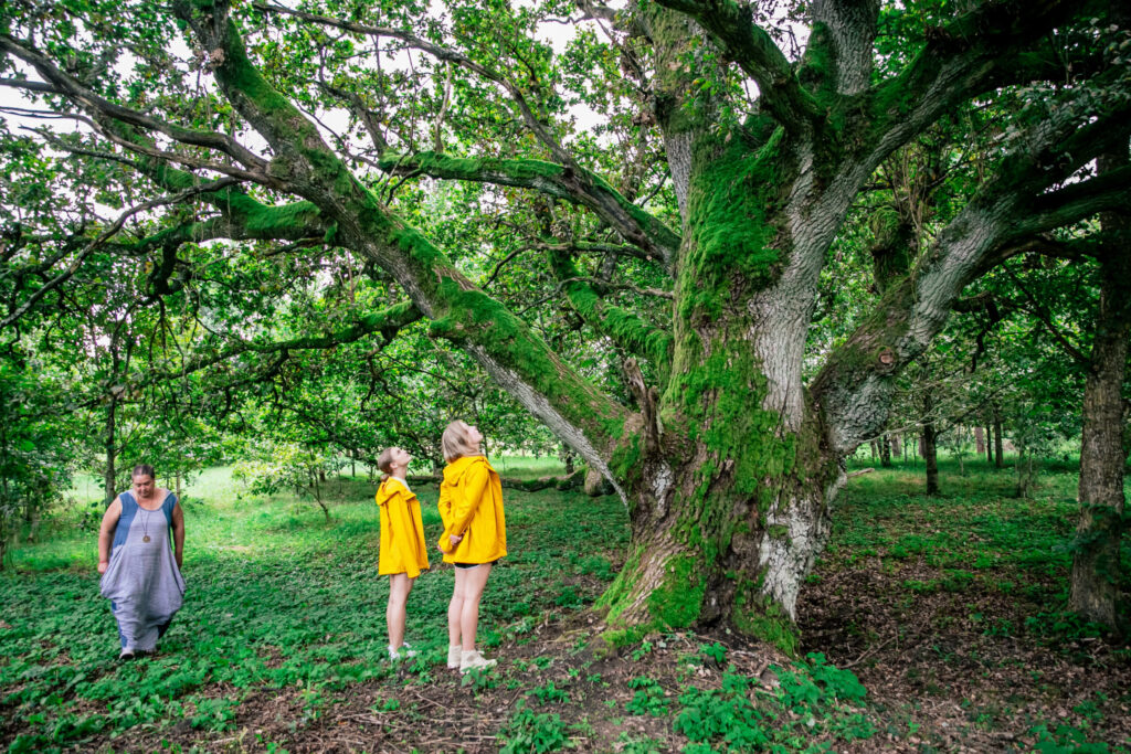 Autors: Lauris Vīksne/LTV