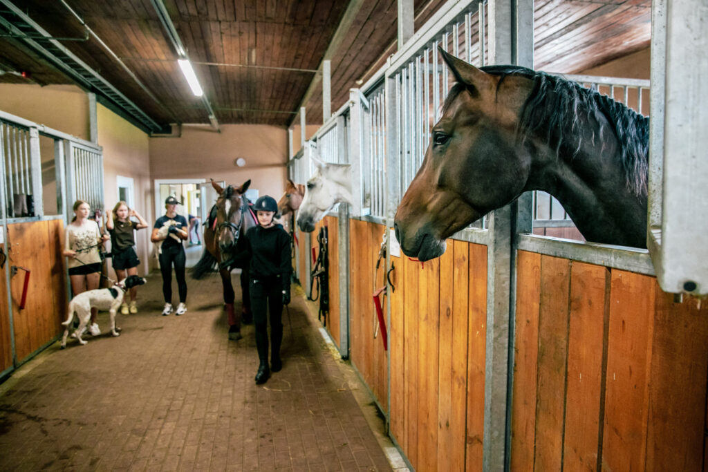 Autors: Lauris Vīksne/LTV