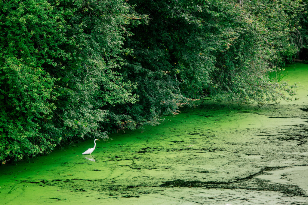 Autors: Lauris Vīksne/LTV