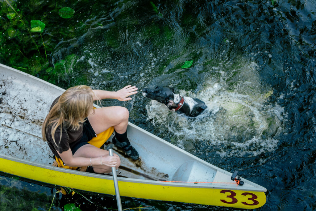 Autors: Lauris Vīksne/LTV