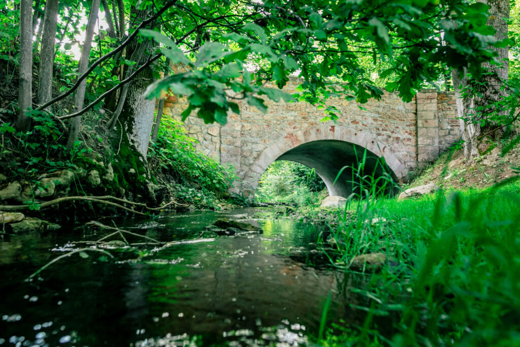 Autors: Lauris Vīksne/LTV