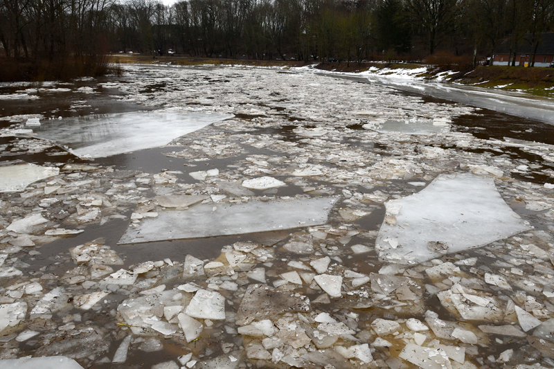 Autors: Ivars Bogdanovs