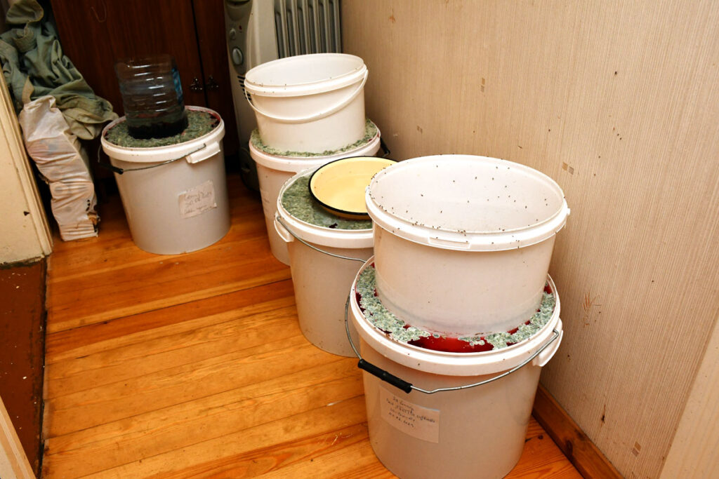 Autors: Foto – IVARS BOGDANOVS