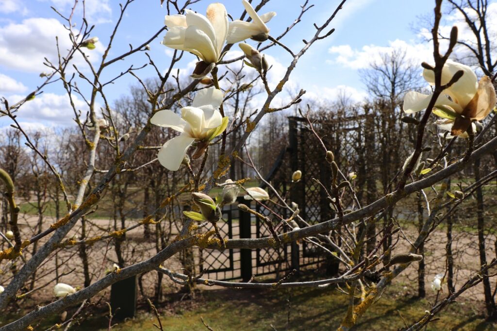 Autors: Publicitātes foto